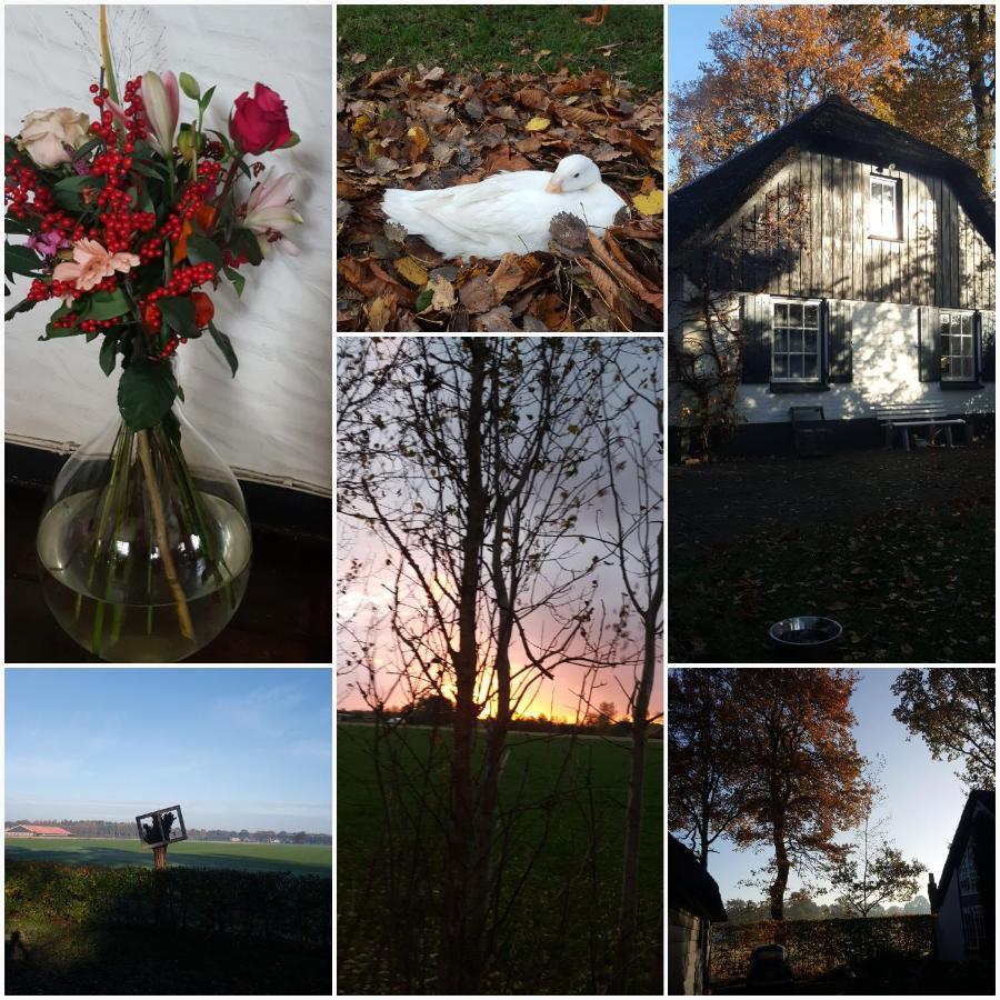 Grenier'S Bed & Breakfast Punthorst Exterior foto
